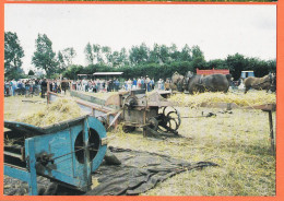 35959 / CONCHES-en-OUCHE Eure Battage Blé Mécanique Ancienne Cliché ALIX Cpagr 1980s Editions DUBRAY CONCHES N° 343 - Conches-en-Ouche