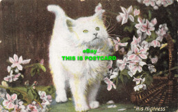 R587394 Cat. His Highness. J. W. B. London E. Series No. 302. Commercial Series - Autres & Non Classés