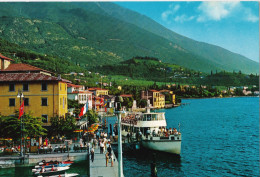 Malcesine - Lago Di Garda - Il Porto - Autres & Non Classés