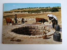 D202920    AK  CPM  ISRAEL - Arab Woman Drawing Water From A Well ; Femme Arabe Puisant L'eau Du Puits   -  Palphot 9472 - Israel