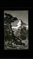 11195595 Zermatt VS Rifelalp Matterhorn  - Autres & Non Classés