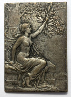 Médaille Bronze Art Nouveau Plaquette De Mariage ? Signée Charles PILLET - Femme Coq - 5 Mai 1906 Bien Aimé - Desforges - Andere & Zonder Classificatie