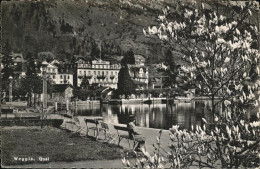 11195527 Weggis Vierwaldstaettersee Quai Weggis - Other & Unclassified