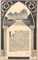 41-CHEVERNY LE CHATEAU-N°4222-D/0271 - Cheverny