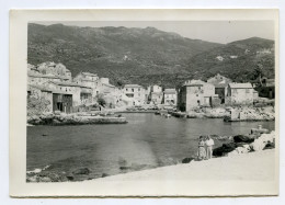 Centuri Cap Corse Photo 13x9 - Autres & Non Classés