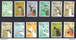 1990 BIOT - BRITISH INDIAN OCEAN TERRITORY - OCEAN INDIEN - Yvert N. 94-105 - Uccelli - Serie Di 12 Valori - MNH** - Otros & Sin Clasificación