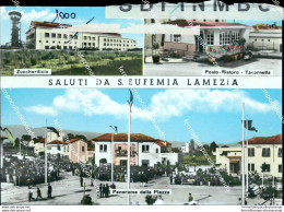 Ao627 Cartolina Bozza Campione Saluti Da S.eufemia Lamezia Provinciadi Catanzaro - Catanzaro