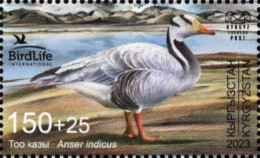 Kyrgyzstan - KEP - 2023 - Bird Of The Year - Bar-headed Goose - Mint Stamp - Kirghizistan