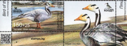 Kyrgyzstan - KEP - 2023 - Bird Of The Year - Bar-headed Goose - Mint Stamp With Coupon - Kirghizistan