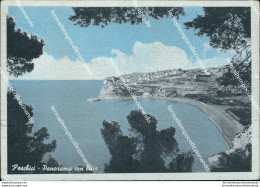 Ap510 Cartolina Peschici Panorama Con Baia Provincia Di Foggia - Foggia