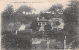 72-CHATEAU DU LOIR-N°4224-A/0127 - Chateau Du Loir