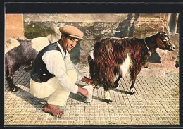 AK Junger Mann Beim Melken Einer Ziege  - Malte