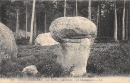 77-FONTAINEBLEAU-N°4224-G/0215 - Fontainebleau