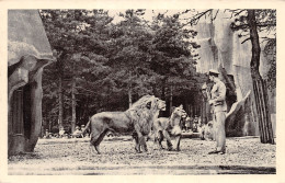 75-PARIS JARDIN ZOOLOGIQUE DE VINCENNES-N°4224-F/0155 - Parks, Gärten