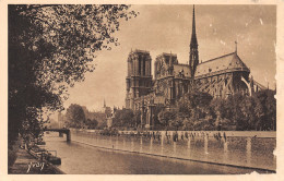 75-PARIS NOTRE DAME ET LE SQUARE-N°4225-C/0315 - Notre Dame De Paris
