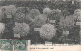 75-PARIS EXPO D HORTICULTURE-N°4225-H/0317 - Expositions