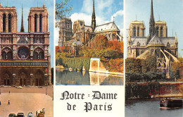 75-PARIS NOTRE DAME-N°4225-H/0161 - Notre-Dame De Paris