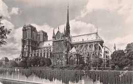 75-PARIS NOTRE DAME ET LE SQUARE DE L ARCHEVECHE-N°4226-C/0375 - Notre-Dame De Paris