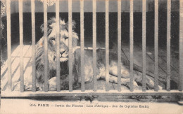 75-PARIS JARDIN DES PLANTES LION D AFRIQUE-N°4226-C/0259 - Parks, Gärten