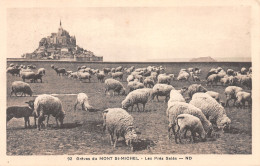 50-LE MONT SAINT MICHEL-N°4227-G/0251 - Le Mont Saint Michel