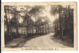33 Arcachon - Route Des Abatilles - Arcachon