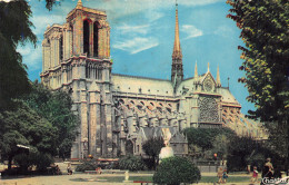 75-PARIS NOTRE DAME ET LE SQUARE VIVIAN-N°4229-D/0039 - Notre-Dame De Paris