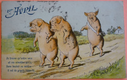 CARTE 1 Er AVRIL COCHONS PORCS - SCAN RECTO/VERSO - 8 - April Fool's Day