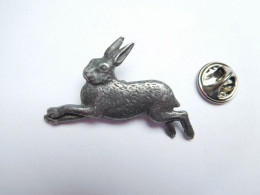 Beau Pin's En Relief , Chasse , Lapin , Lièvre - Animales