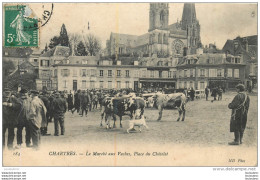 CHARTRES LE MARCHE AUX VACHES PLACE DU CHATELET - Chartres