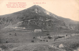 15-LE PUY MARY-N°4230-C/0175 - Sonstige & Ohne Zuordnung
