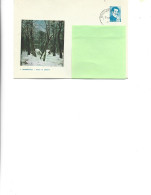 Romania-Postal St.cover Used 1975(243) -  Painting By Ion Andreescu - Winter In The Forest - Postwaardestukken