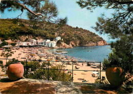 Espagne - Espana - Cataluna - Costa Brava - Tamariu - Vista Parcial De La Cala - Playa - Plage - CPM - Voir Scans Recto- - Gerona