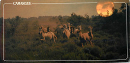 Format Spécial - 210 X 105 Mms - Animaux - Chevaux - Camargue - Chevaux Au Soleil Couchant - Etat Pli Visible - Frais Sp - Horses