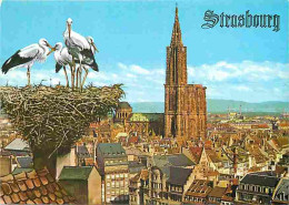 67 - Strasbourg - Vue Générale Et Nid De Cigognes - CPM - Voir Scans Recto-Verso - Straatsburg