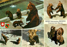 Animaux - Ours - La Fosse Aux Ours De Berne - Multivues - Zoo - Bear - CPM - Carte Neuve - Voir Scans Recto-Verso - Osos