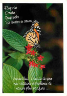 Animaux - Papillons - Fleurs - CPM - Voir Scans Recto-Verso - Mariposas