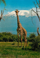 Animaux - Girafes - Giraffe Against Mt Kilimanjaro - Carte Neuve - CPM - Voir Scans Recto-Verso - Giraffes