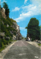 03 - Allier - La Vallée De La Sioule - Le Roc Armand - Mention Photographie Véritable - Carte Dentelée - CPSM Grand Form - Altri & Non Classificati