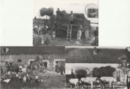 AGRICULTURE - La Beauce Autrefois - Réédition De Cartes Anciennes - Lot De 3 CP - Other & Unclassified