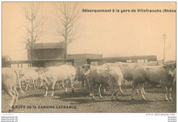 BOEUFS DE LA CARNINE LEFRANCQ DEBARQUEMENT A LA GARE DE VILLEFRANCHE - Breeding