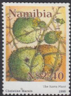 Namibia Mi.Nr. 931 Narapflanze (2.40) - Namibië (1990- ...)