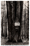 CPSM PF 28 - Forêt De SENONCHES (Eure Et Loir) - Les Huit Chênes - Sonstige & Ohne Zuordnung