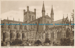 R000231 Cathedral From S. E. Chester. Salmon. No 4257 - Monde