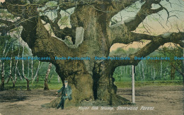 R000331 Major Oak Stump. Sherwood Forest. Valentine - Monde
