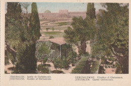 Jérusalem  -  Jardin De Gethsémanie - Israel