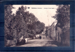 19. Egletons. Avenue De La Borie - Egletons