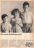 Biscotti Al Plasmon, Pubblicità Epoca 1965, Vintage Advertising - Werbung