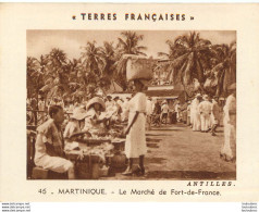 MARTINIQUE ANTILLES LE MARCHE DE FORT DE FRANCE  LES TERRES FRANCAISES FORMAT 10.50 X 8 CM - Sonstige & Ohne Zuordnung