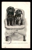 92 - LEVALLOIS-PERRET - ELEVAGE DE CHIENS - ENGLISH DOG'S KENNEL, 15 RUE DU BOIS - Levallois Perret
