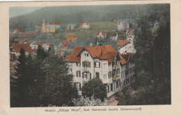 DE377  --  BAD HERRENALB  ( Wurtt: SCHWARZWALD )  --  HOSPIZ  ,, GRUNER WALD ,,   --  1925 - Bad Herrenalb